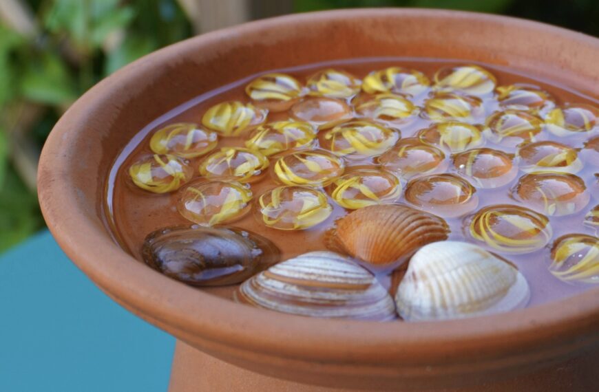 DIY – Fabriquer un abreuvoir à insectes