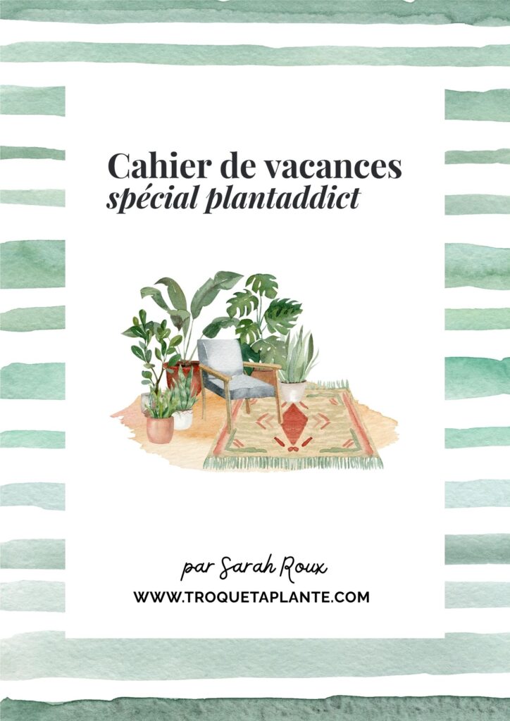 Cahier de vacances spécial plantaddict