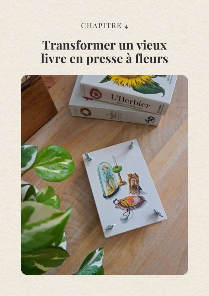Exemple tutoriel DIY ebook Jardin créatif