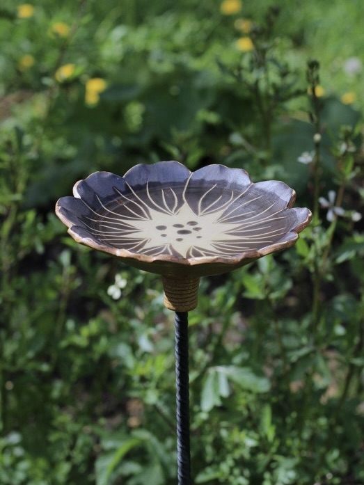 Fleur abreuvoir Paquerette