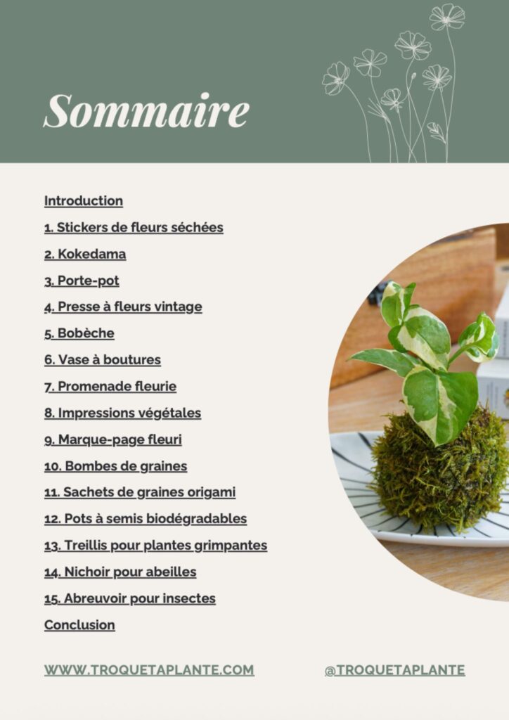 Sommaire ebook Jardin créatif 15 DIY sur le thème des plantes