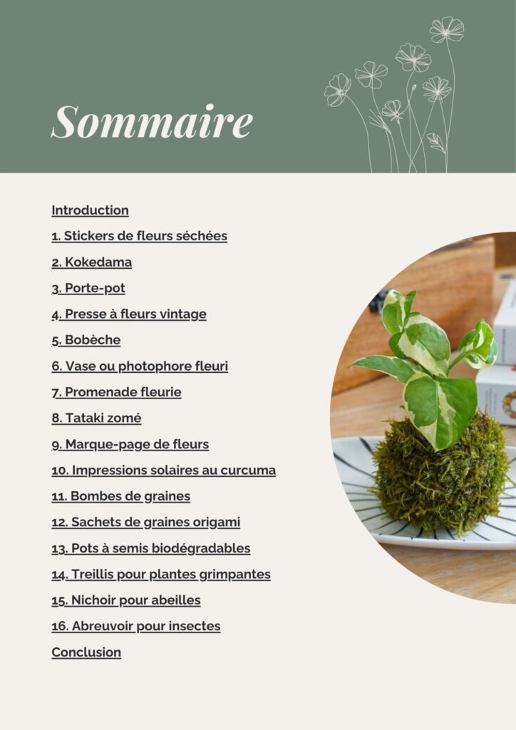Sommaire ebook Jardin créatif 15 DIY sur le thème des plantes