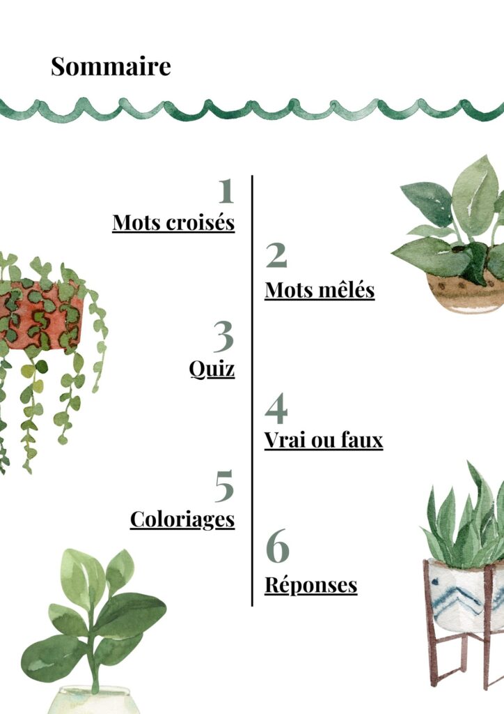 Sommaire ebook cahier vacances plantes