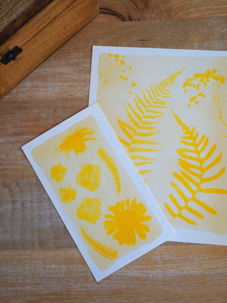 DIY anthotype impressions solaires au curcuma 
