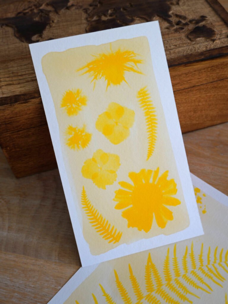 DIY cyanotype végétal au curcuma