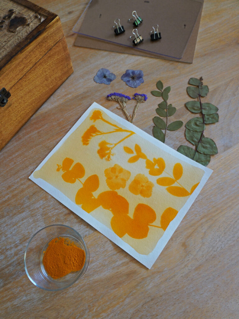 DIY cyanotype végétal au curcuma