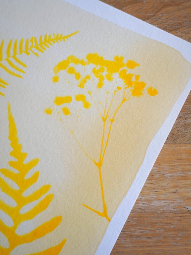 Impression curcuma gypsophile