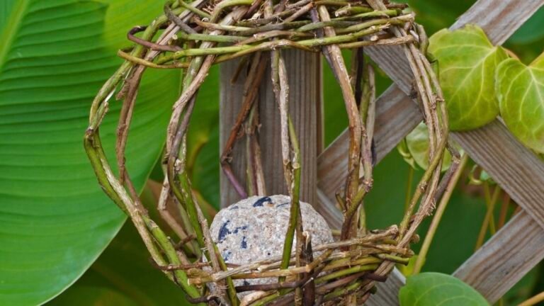 DIY – Fabriquer une mangeoire à oiseaux en vannerie sauvage