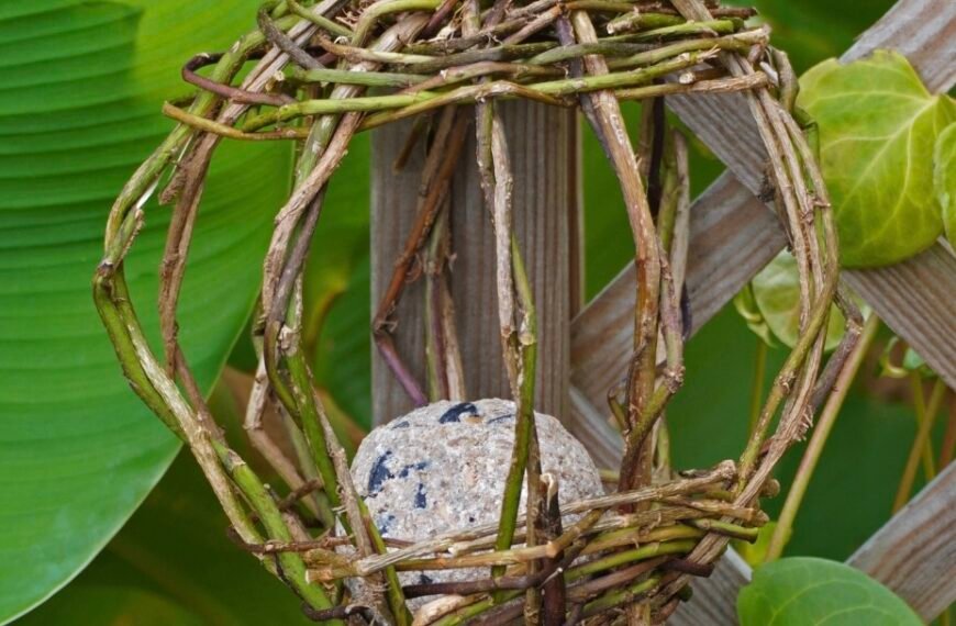 DIY – Fabriquer une mangeoire à oiseaux en vannerie sauvage