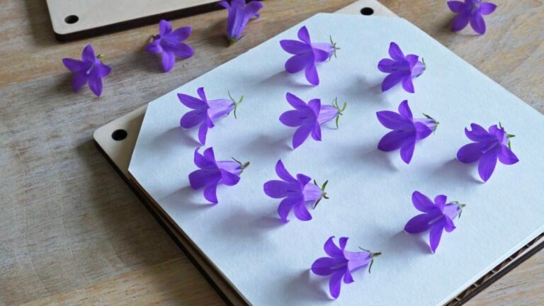 DIY – Les fleurs & feuilles les plus simples à presser