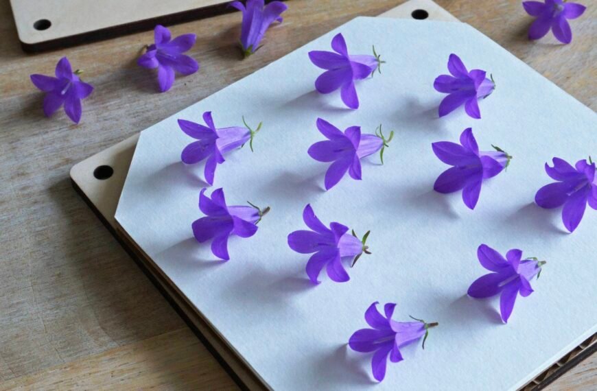 DIY – Les fleurs & feuilles les plus simples à presser