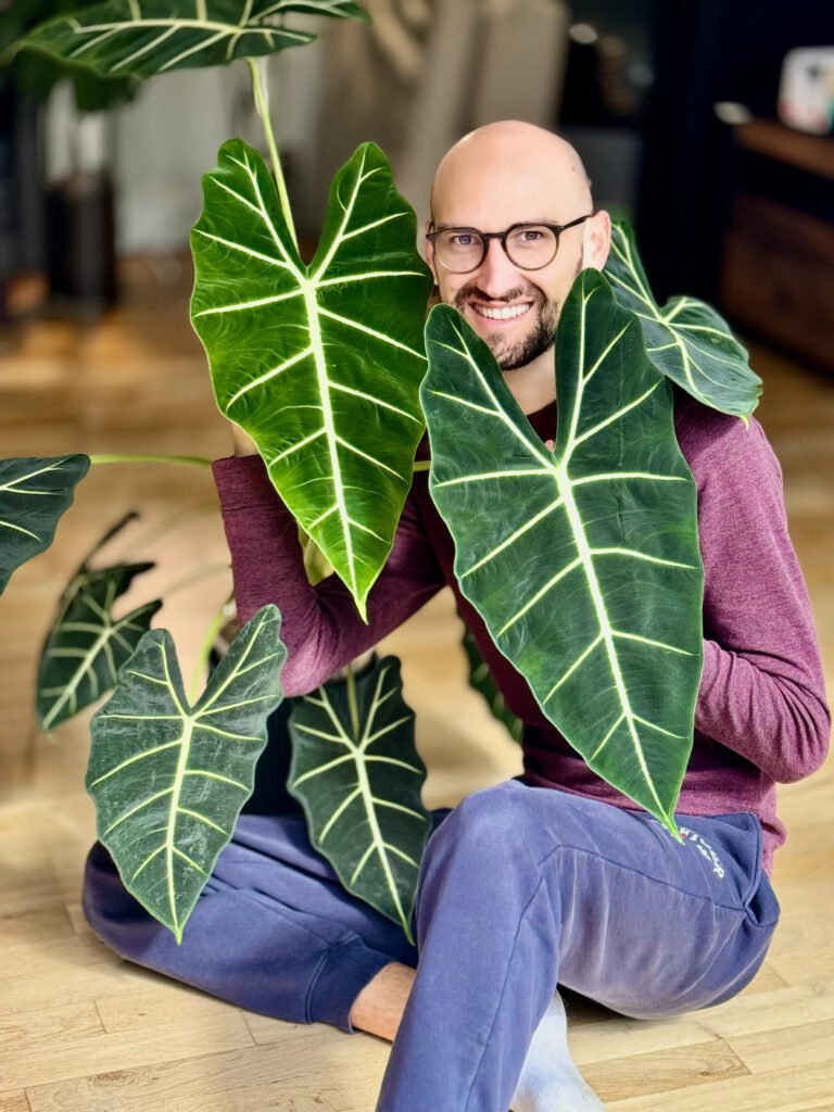 Guide de culture des alocasias avec Mallory