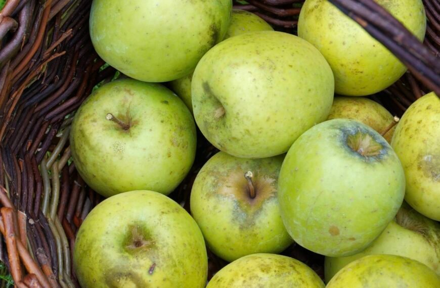 Que faire au jardin en automne ? 4 gestes indispensables avant l&rsquo;hiver